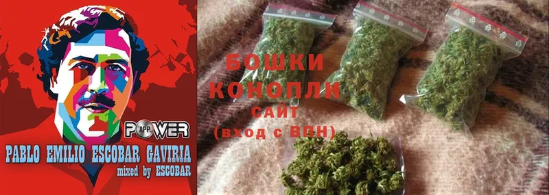 Бошки Шишки White Widow  Приволжск 